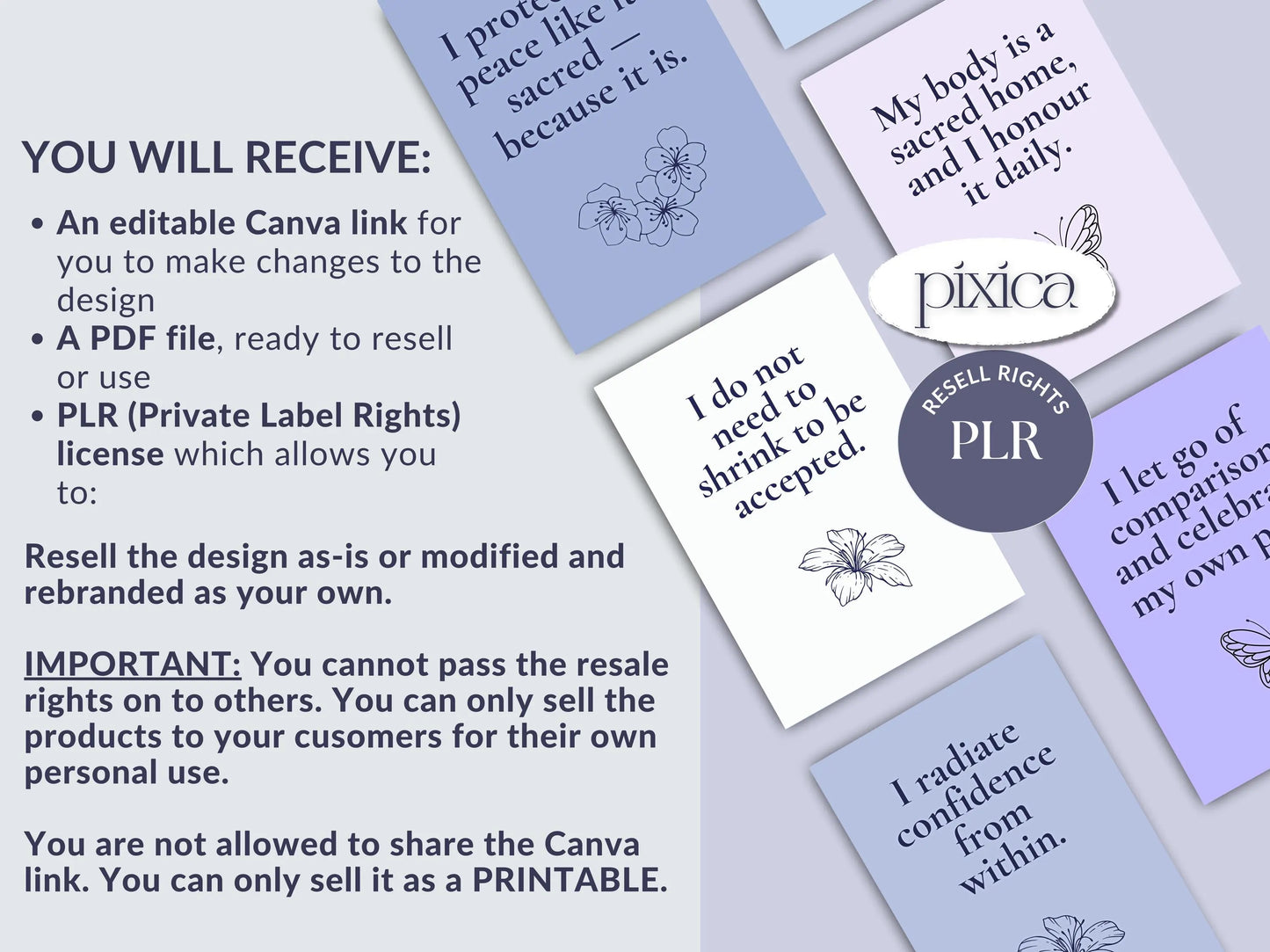 PLR 60 Digital Affirmation Cards #17
