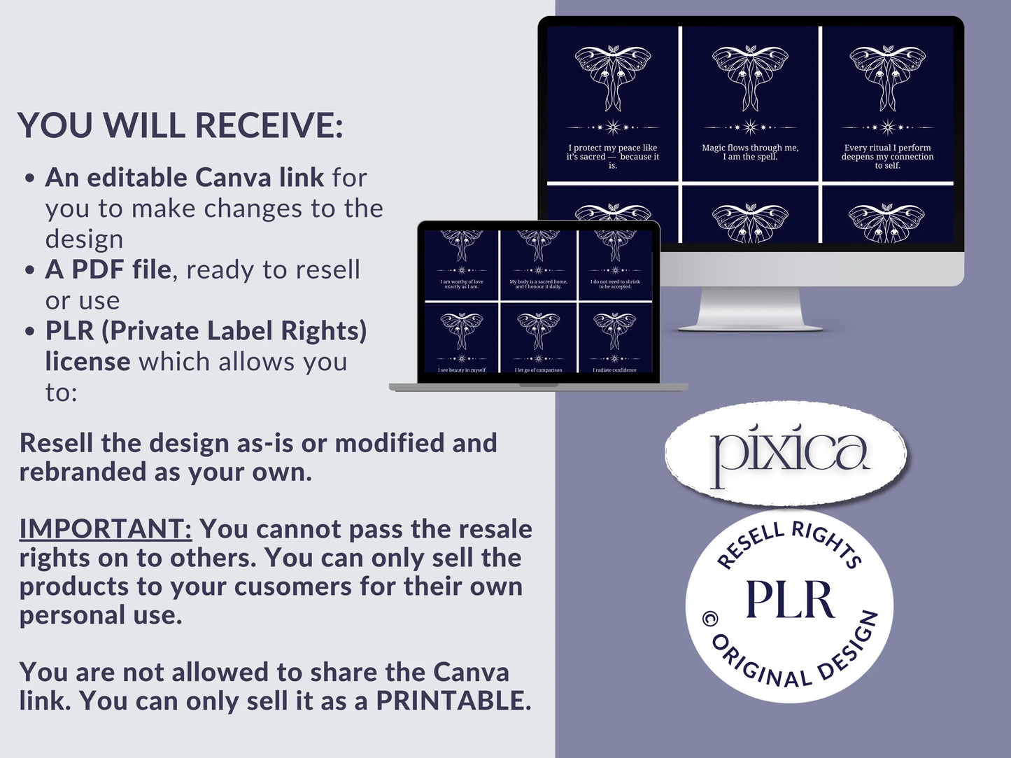 PLR 60 Digital Affirmation Cards #16