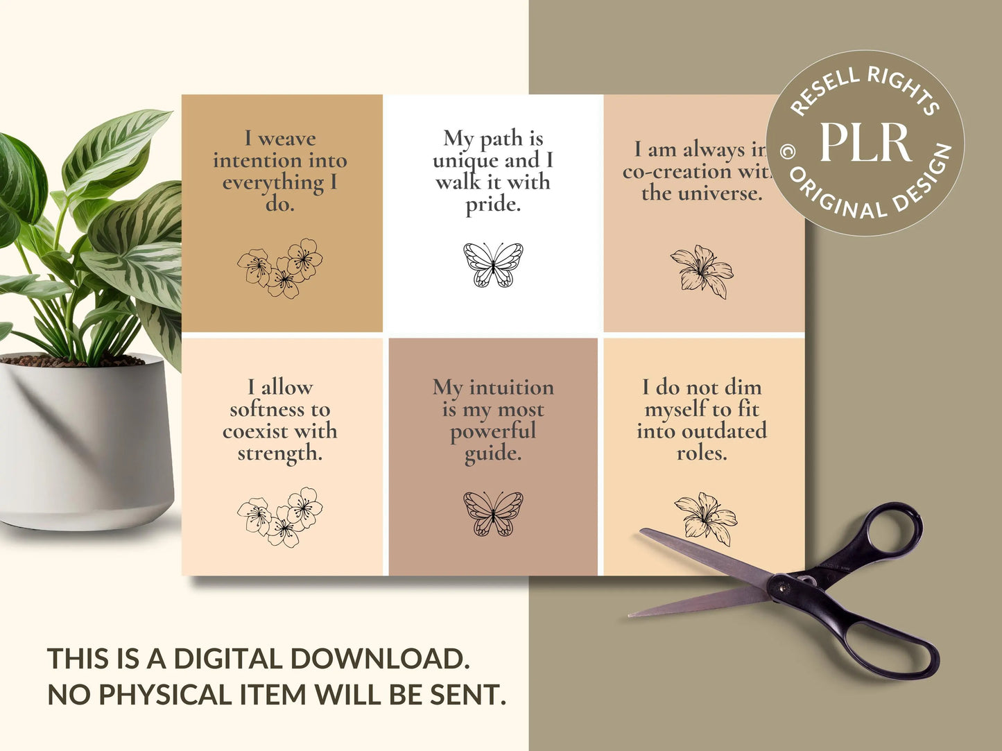 PLR 60 Digital Affirmation Cards #15