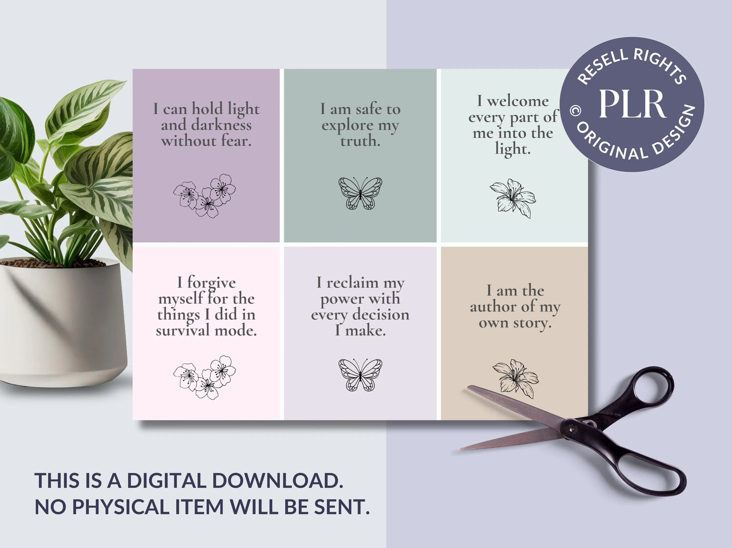 PLR 60 Digital Affirmation Cards #14