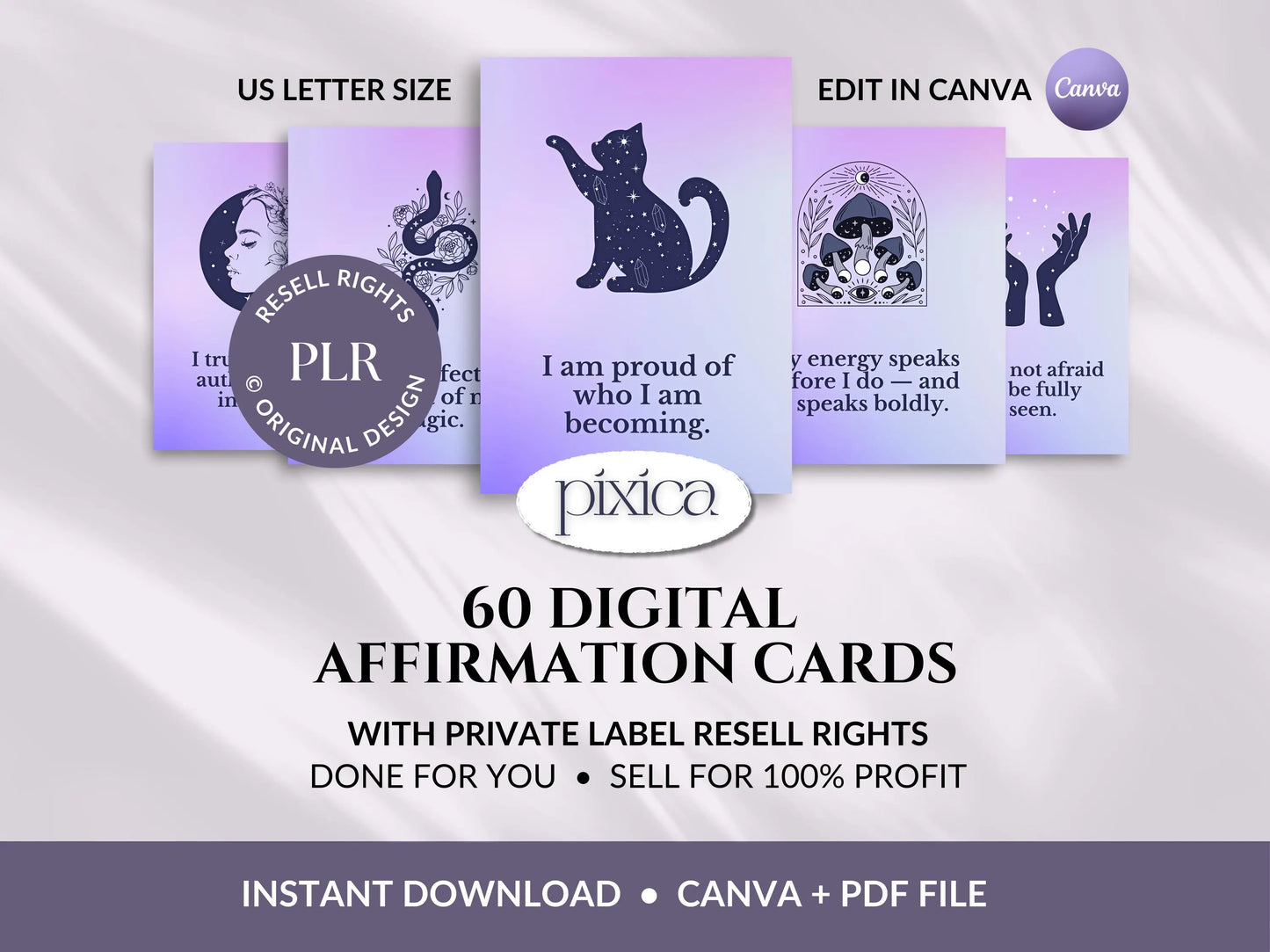 PLR 60 Digital Affirmation Cards #13