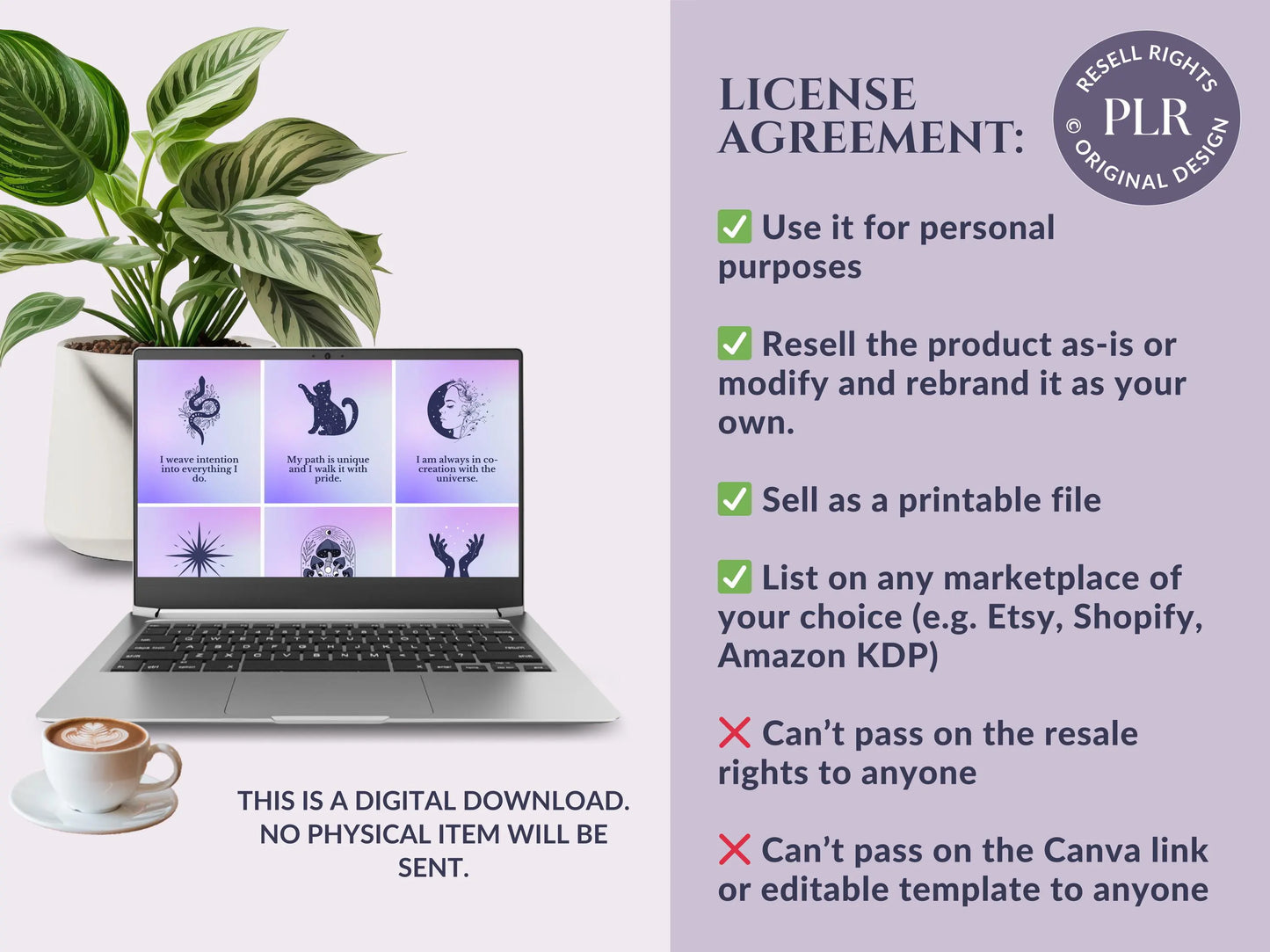 PLR 60 Digital Affirmation Cards #13