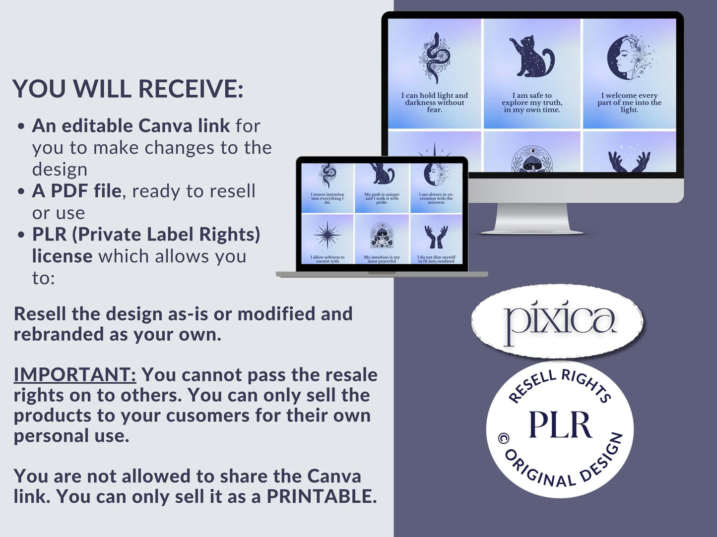 PLR 60 Digital Affirmation Cards #12