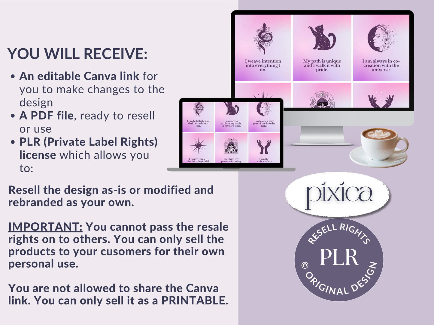 PLR 60 Digital Affirmation Cards #11