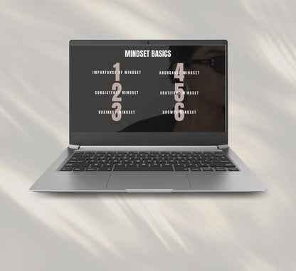PLR/MRR Mindset Mastery Mini Business Course