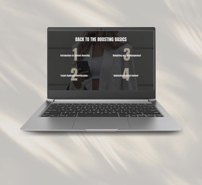 PLR/MRR Boosting Basics Instagram Mini Course