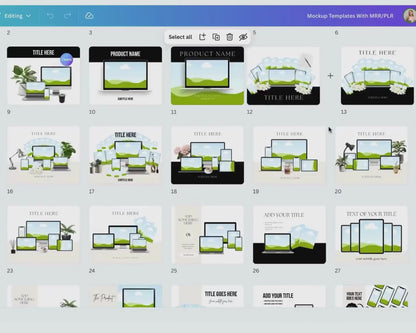 PLR/MRR 115 Etsy Listing Mockups