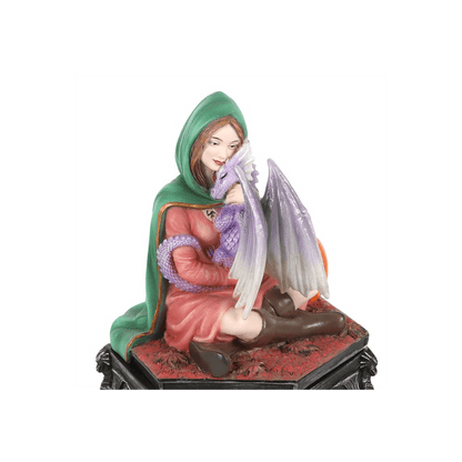 Dragon Friendship Fall Box by Anne Stokes