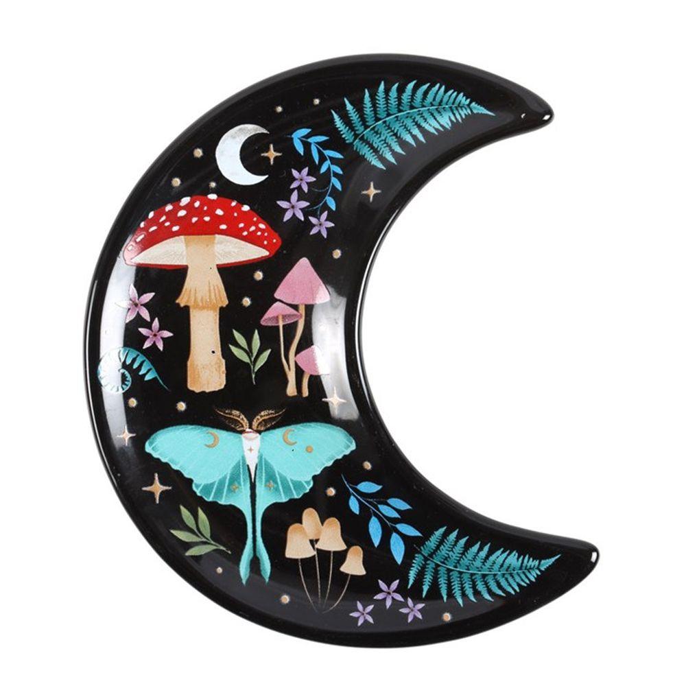 Witchy Night In