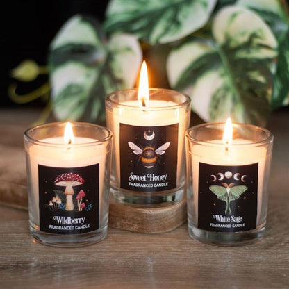 Dark Forest Votive Candle Trio