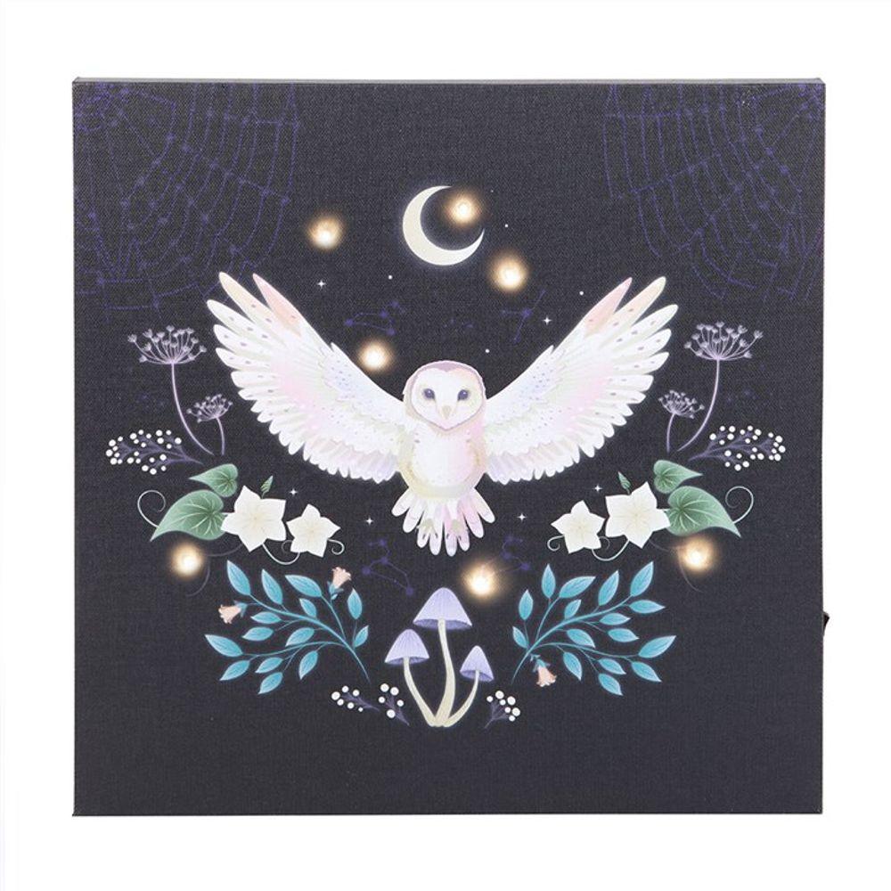 Midnight Moth Light Up Canvas Plaque